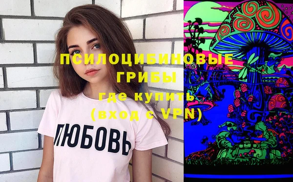 СК Зеленодольск