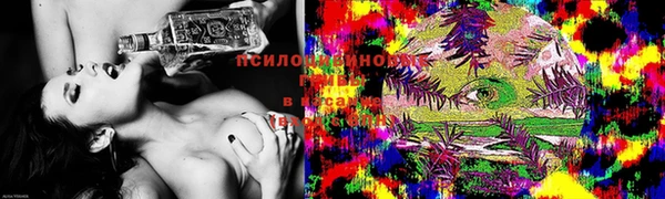 СК Зеленодольск