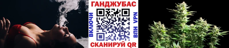 даркнет сайт  площадка официальный сайт  Канабис индика  Камень-на-Оби 